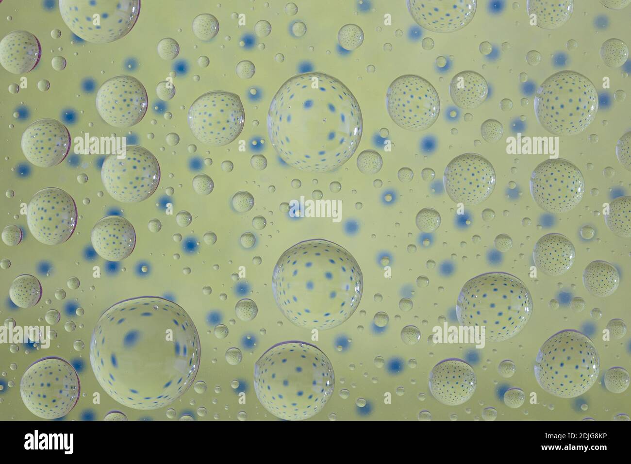 abstract selective focus colorful background with water drops. water bubbles multiple reflections. Stock Photo