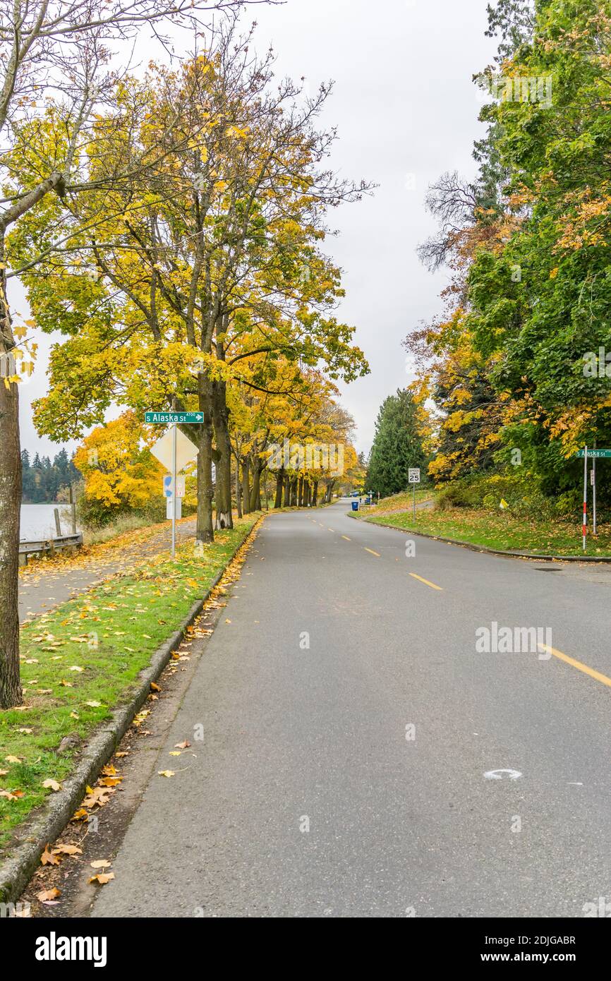 Autumn tree and leaves on the shoreline of Lake Washington in Seattle ...