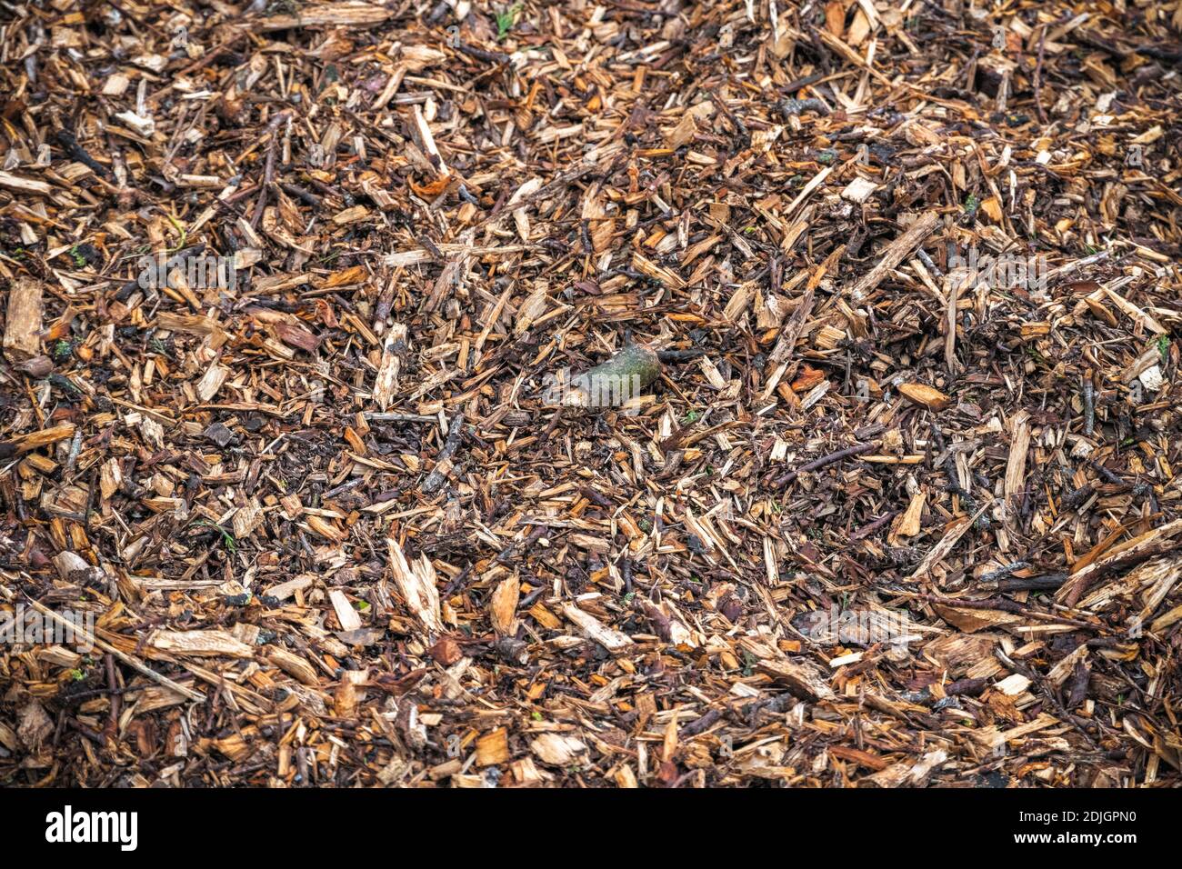 Image filled with wood chips and twigs Stock Photo