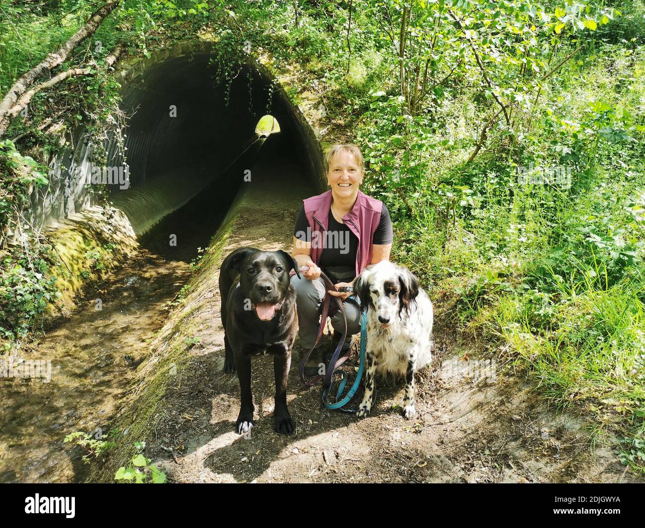 Two mature women walking dogs hi-res stock photography and images - Alamy