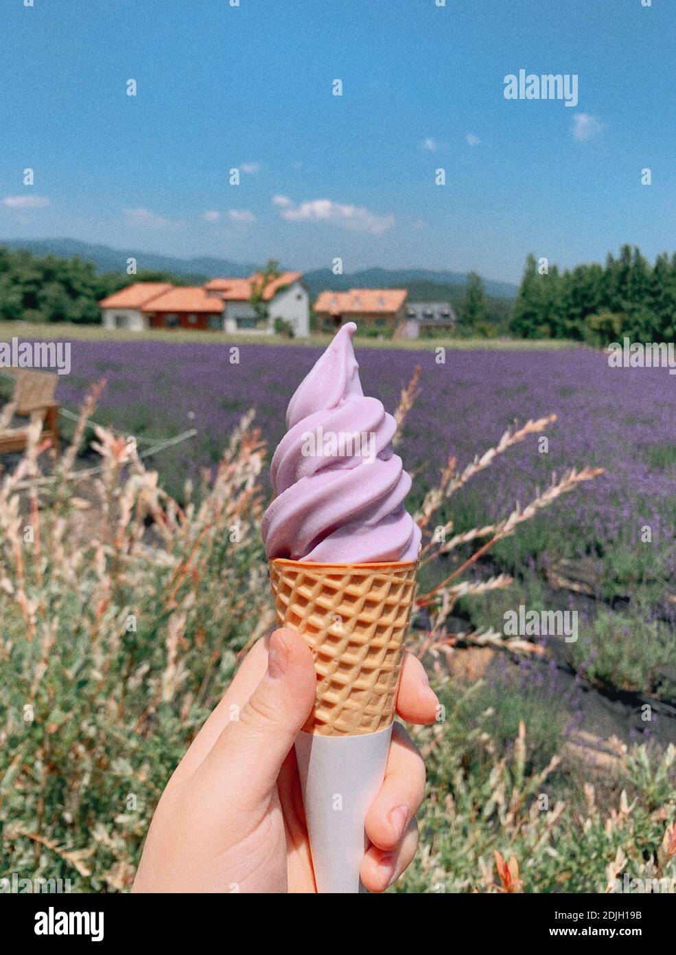 Page 11 Ice Cream Farm High Resolution Stock Photography And Images Alamy