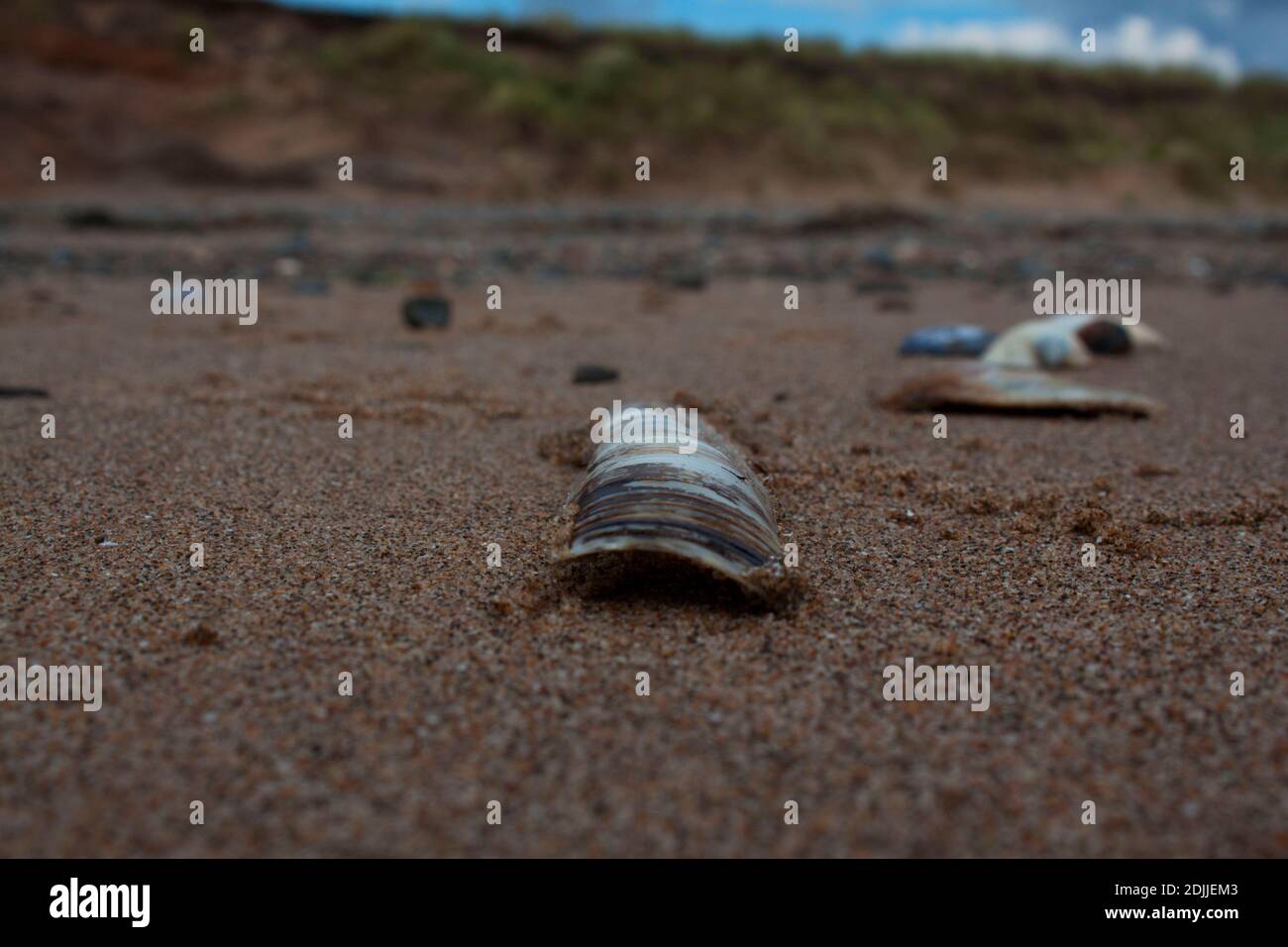 Nice looking beach hi-res stock photography and images - Alamy