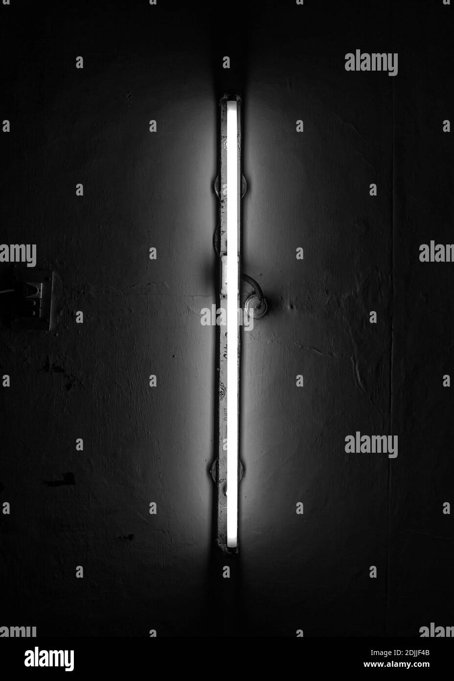 Day of open door Black and White Stock Photos & Images - Alamy