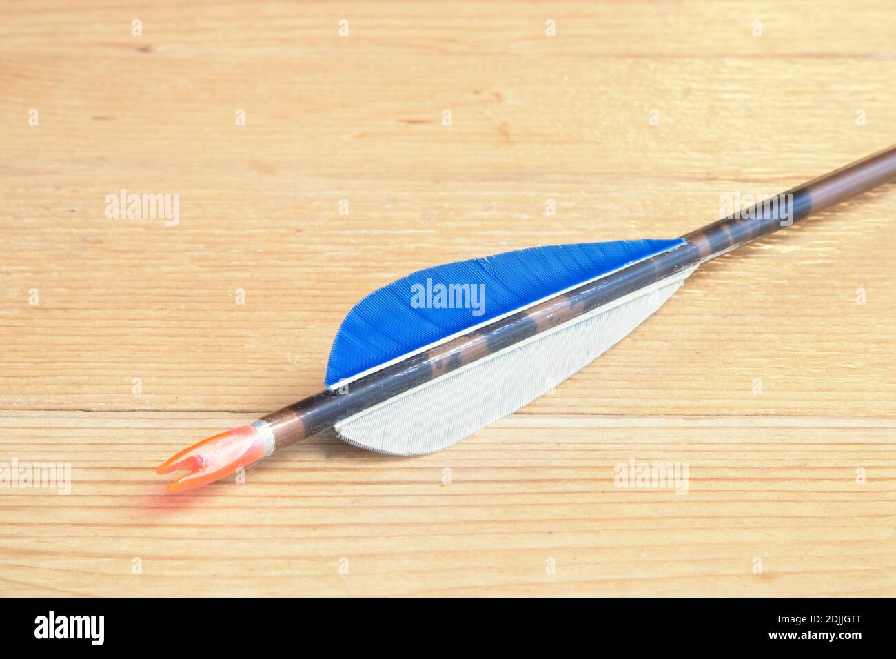 The nock and fletching side of an aluminium hunting arrow Stock Photo