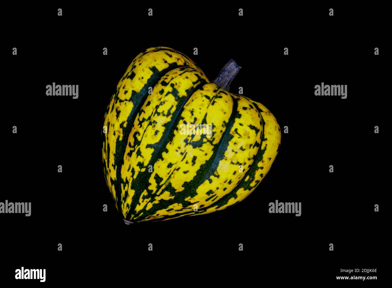 Harlequin Squash on a Black Background. Close up Studio Shot with Copy Space of an exotic, heart shaped, vegetable. Stock Photo