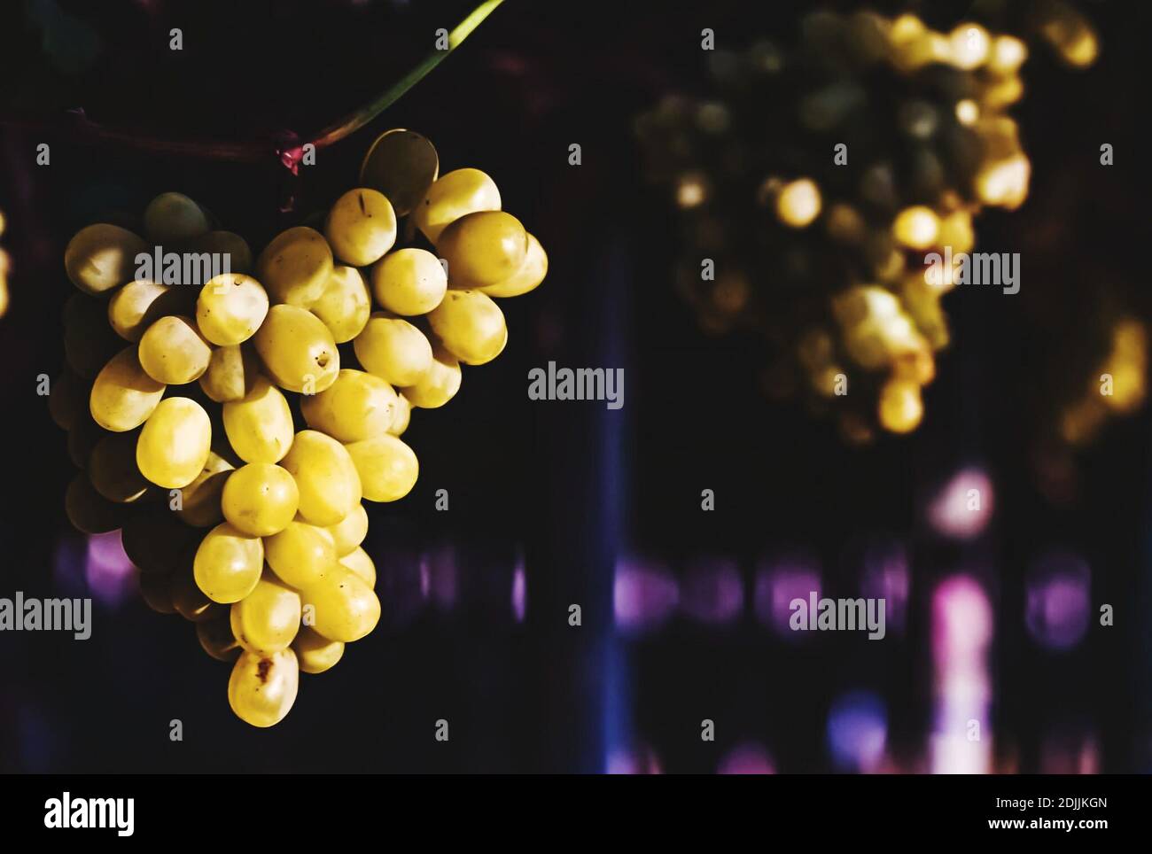 Twelve Grapes Of California Inc 2025 Dates Drucie Modestine