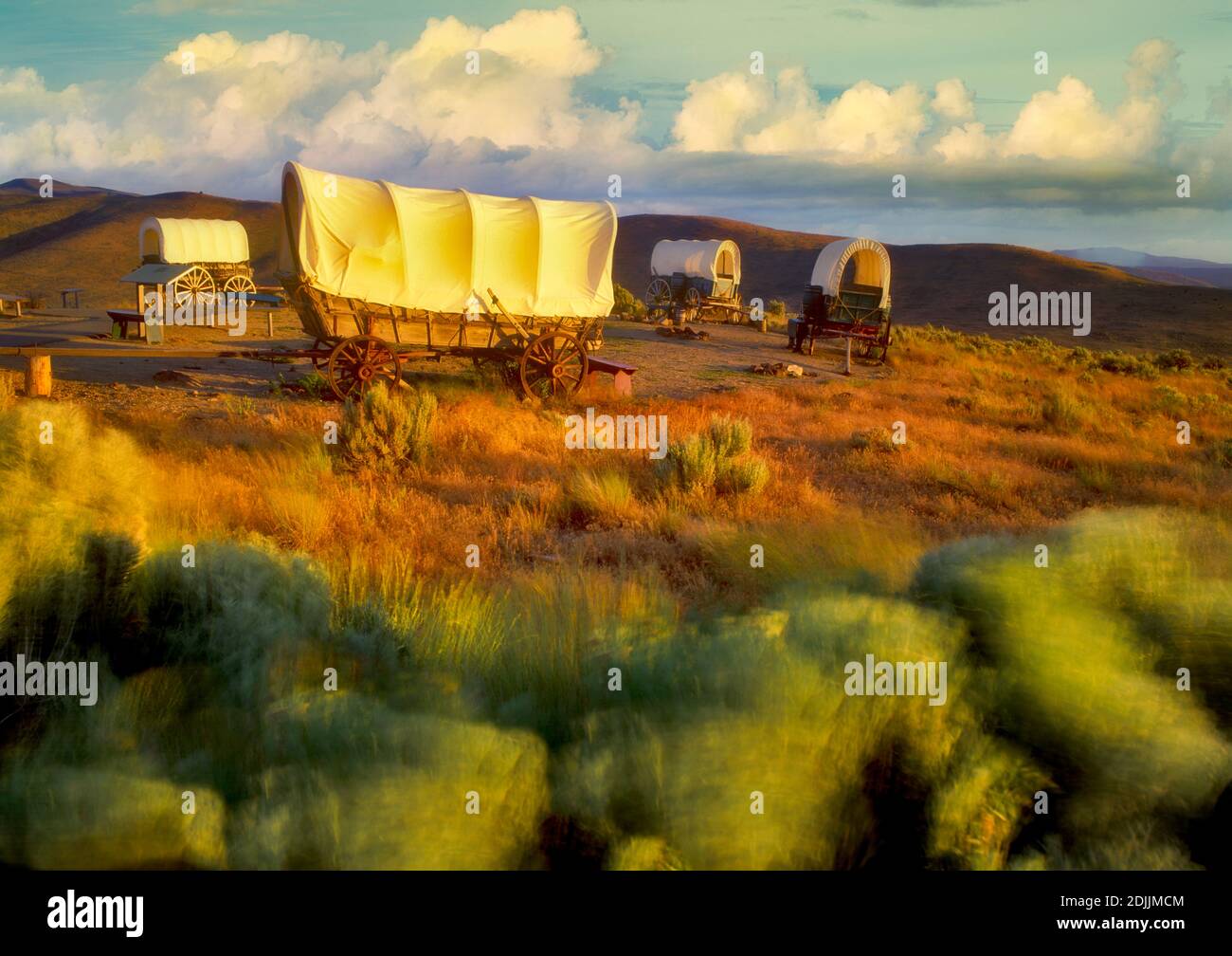 Covered wagons at Oregon Trail Interpretive Center. Near Baker City ...