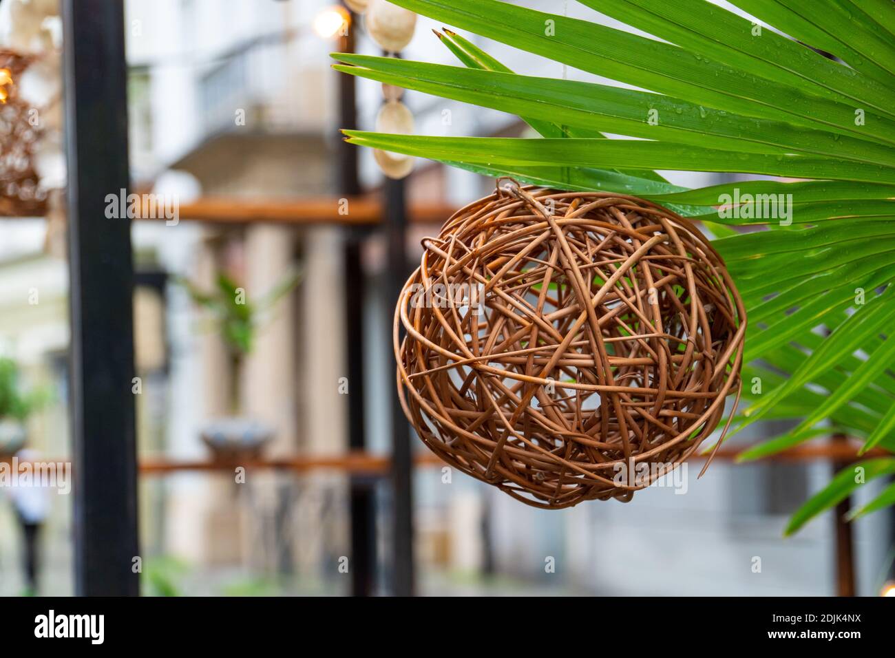Wicker basket hanging from a palm tree. Stock Photo