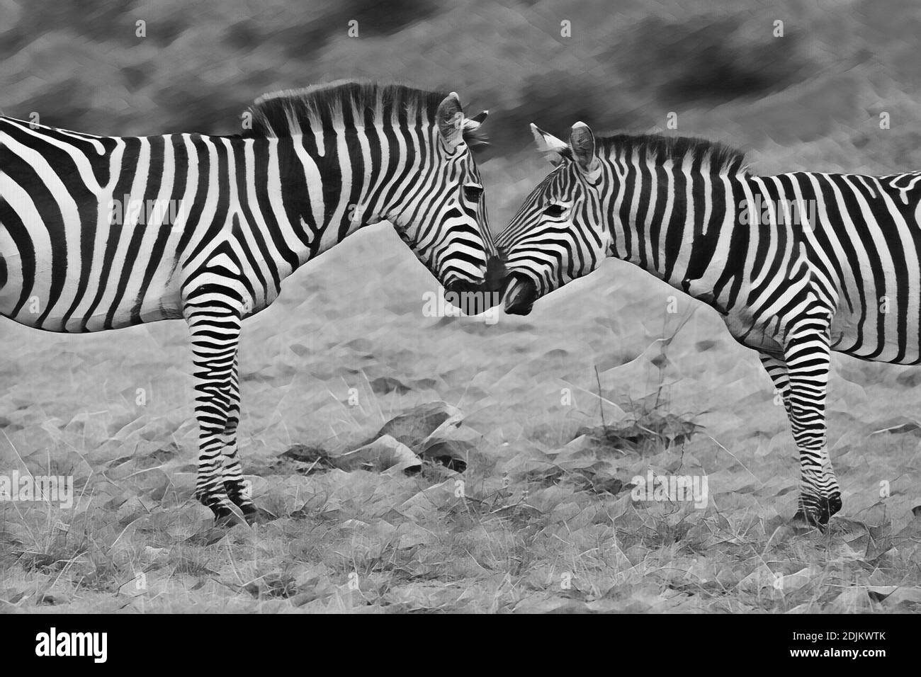 Africa, Kenya, Northern Serengeti Plains, Maasai Mara. Plains zebra aka common or Burchell's zebra (WILD: Equus burchellii) Computer enhanced. Stock Photo