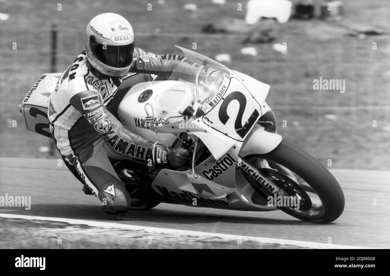 Eddie Lawson,(USA) Yamaha 500, Dutch GP 1986, Assen Stock Photo