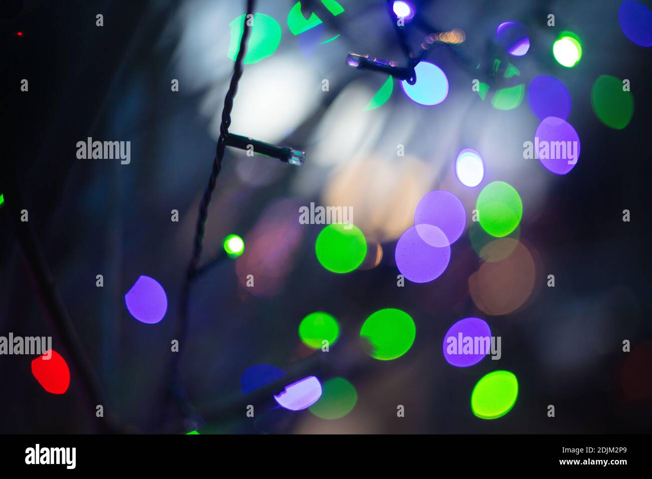 Fairy lights on a tree for Christmas Stock Photo Alamy