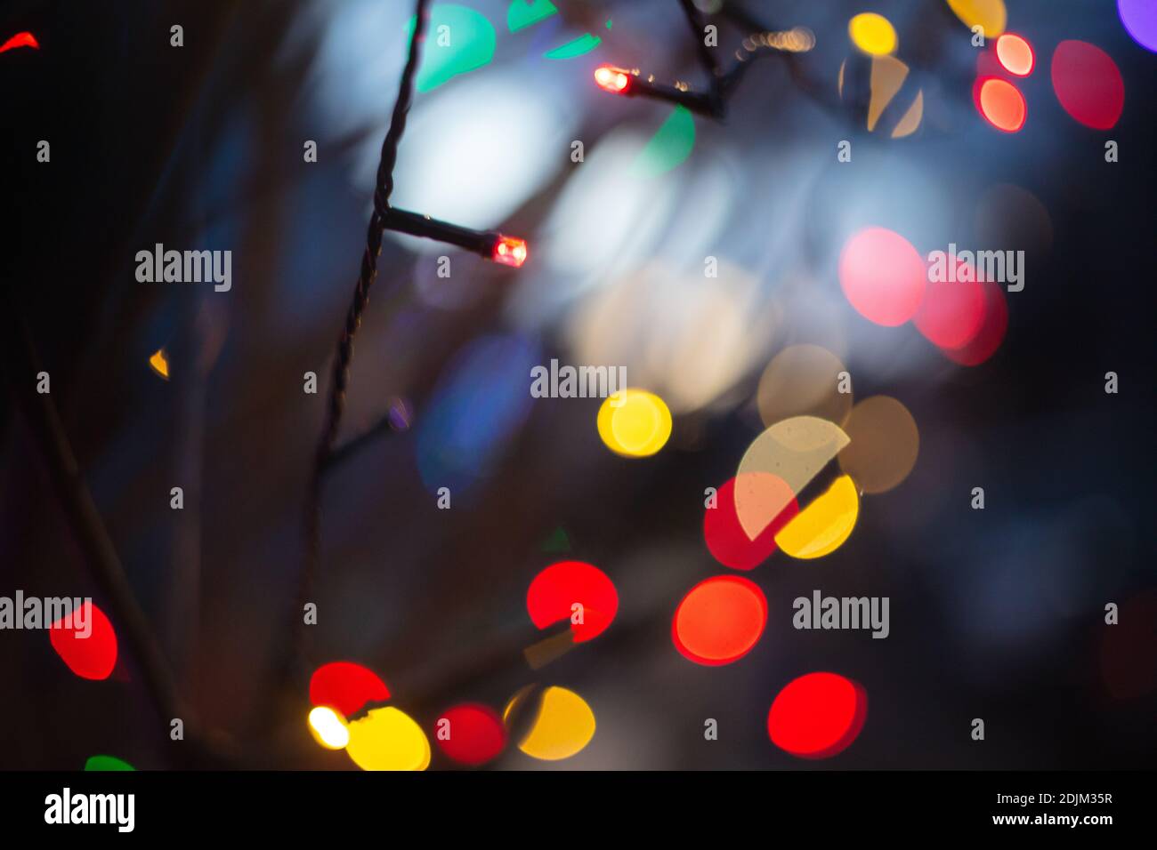 Fairy lights on a tree for Christmas Stock Photo Alamy