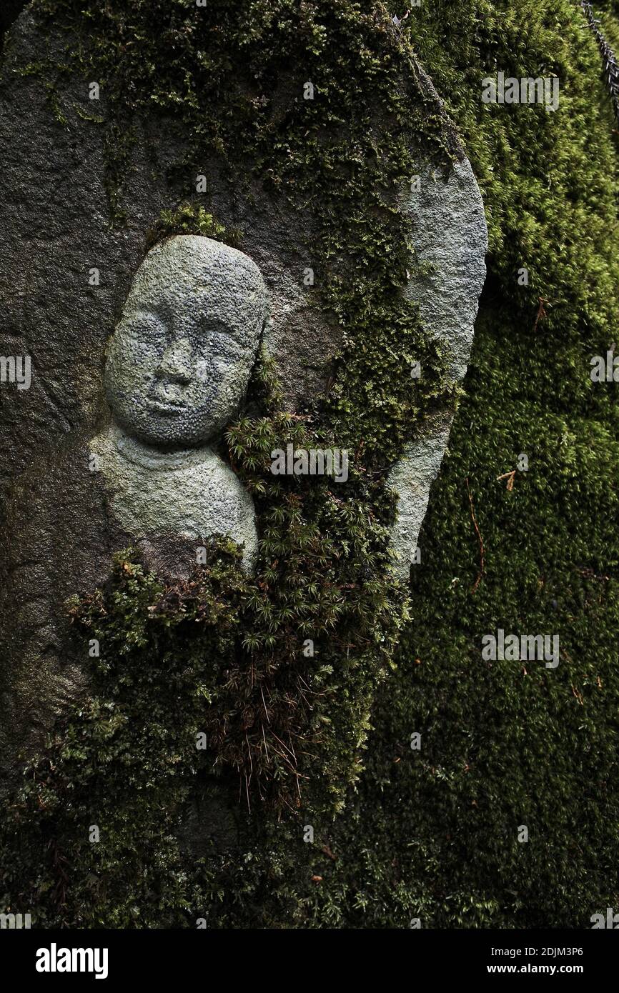 Japan/Wakayama prefecture/Koyasan/Small statues of Buddha covered in moss in Mount Koya's cemetery. Stock Photo