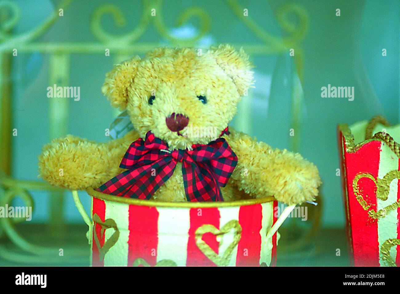 ORNAMENT life style, home, office, gift decorative items for living