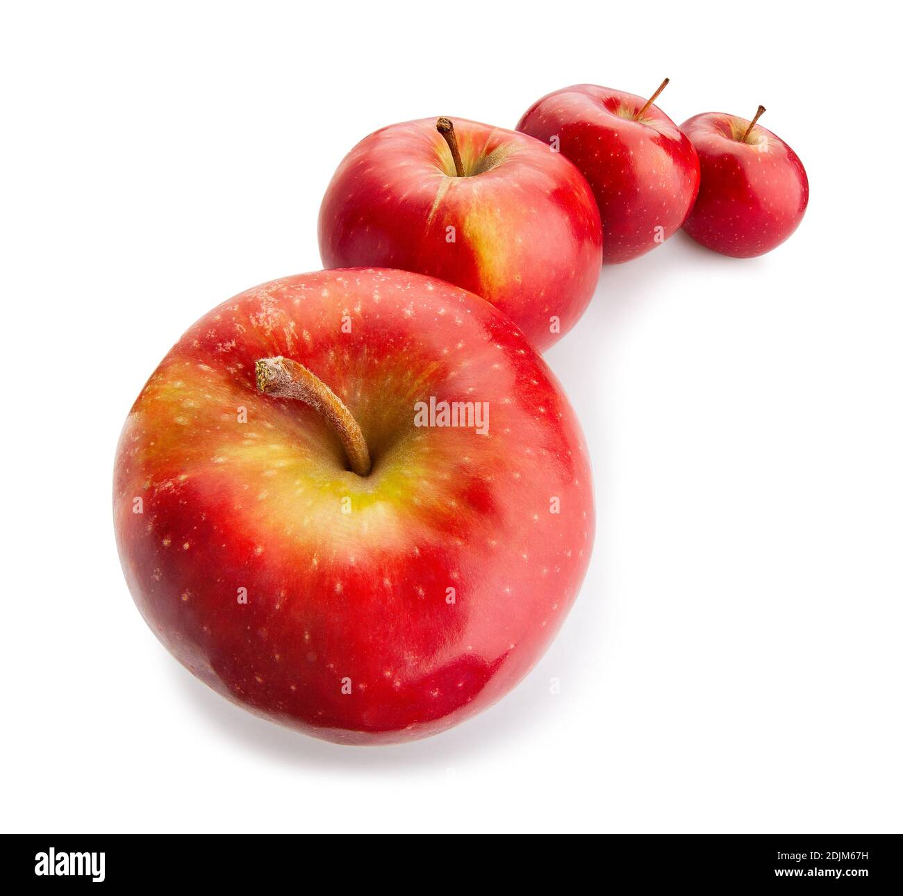 red apple path isolated on white Stock Photo