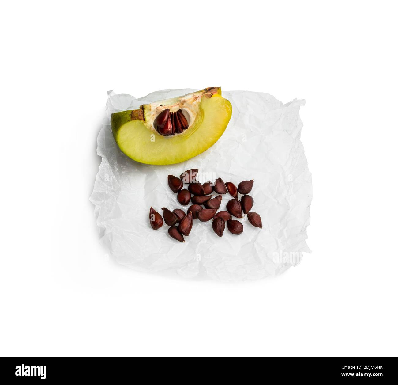 Collecting seeds of quince fruit isolated on white Stock Photo Alamy
