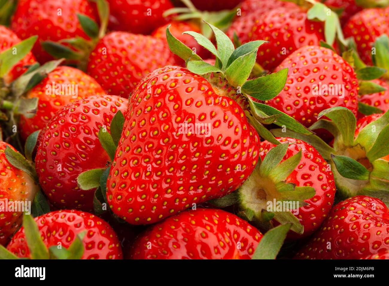 strawberry group macro closeup focus detail Stock Photo - Alamy