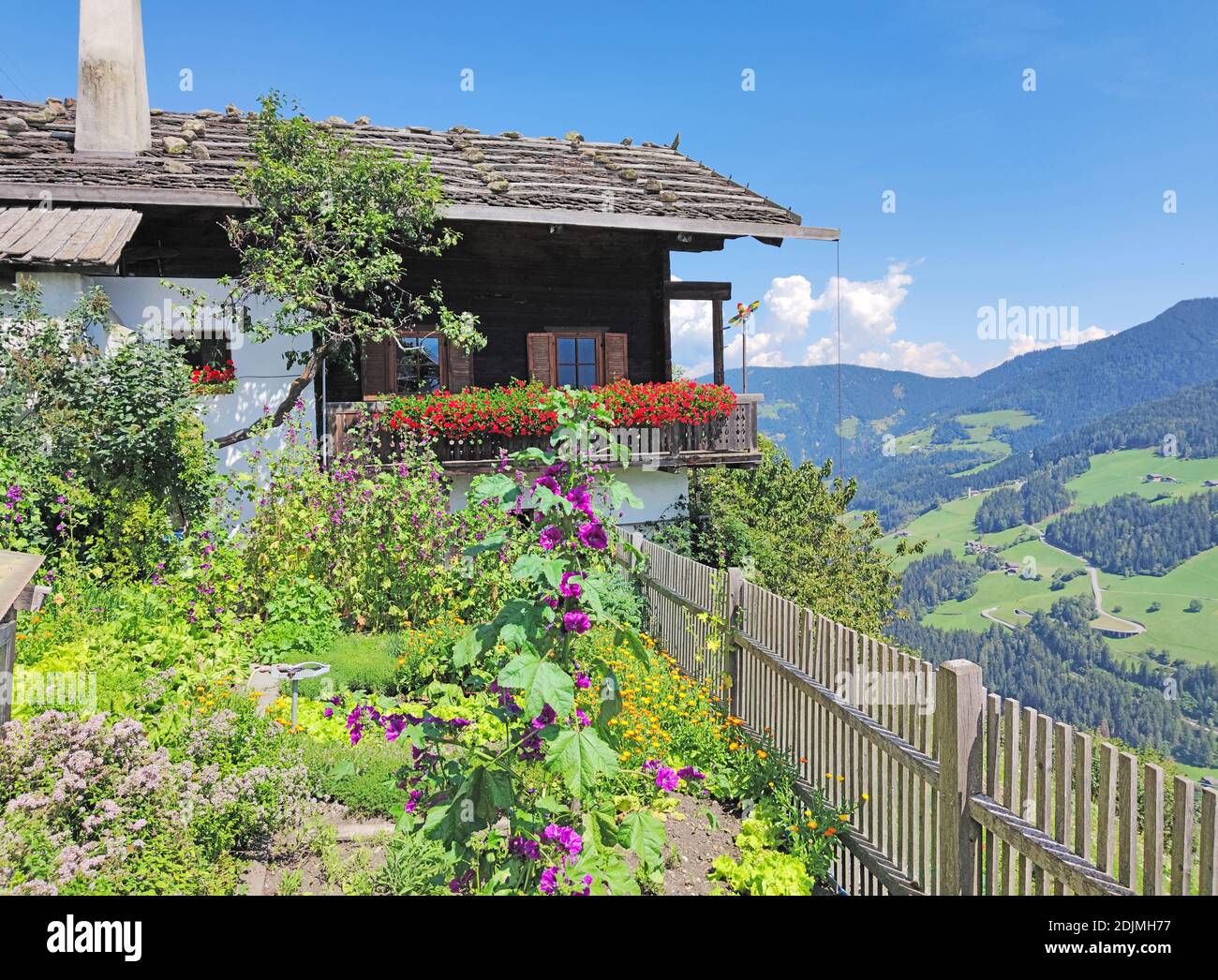 Farm garden in front of a mountain farmhouse in the Ulten Valley in South Tyrol Stock Photo