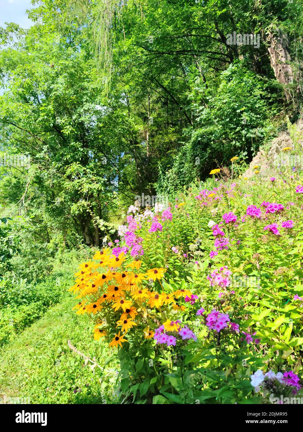 Flowers in a South Tyrolean cottage garden on a steep hillside in front of a mountain forest Stock Photo