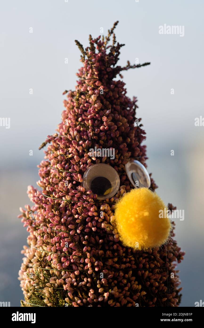 Plant with a face (decoration) Stock Photo