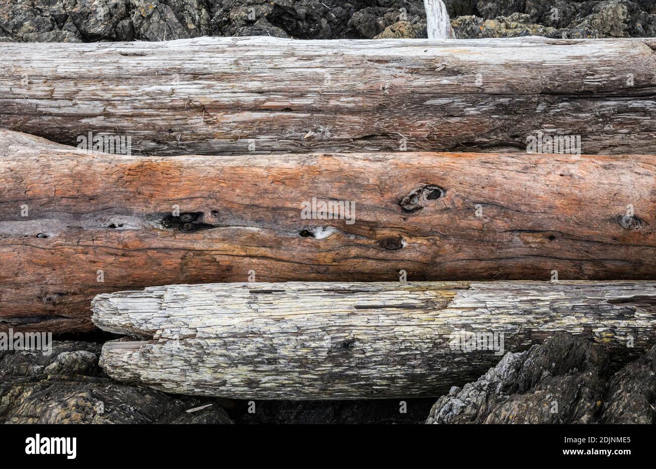 Driftwood logs piled up on the rocky shoreline - American Camp National Historical Park, San Juan Island, Washington, USA. Stock Photo