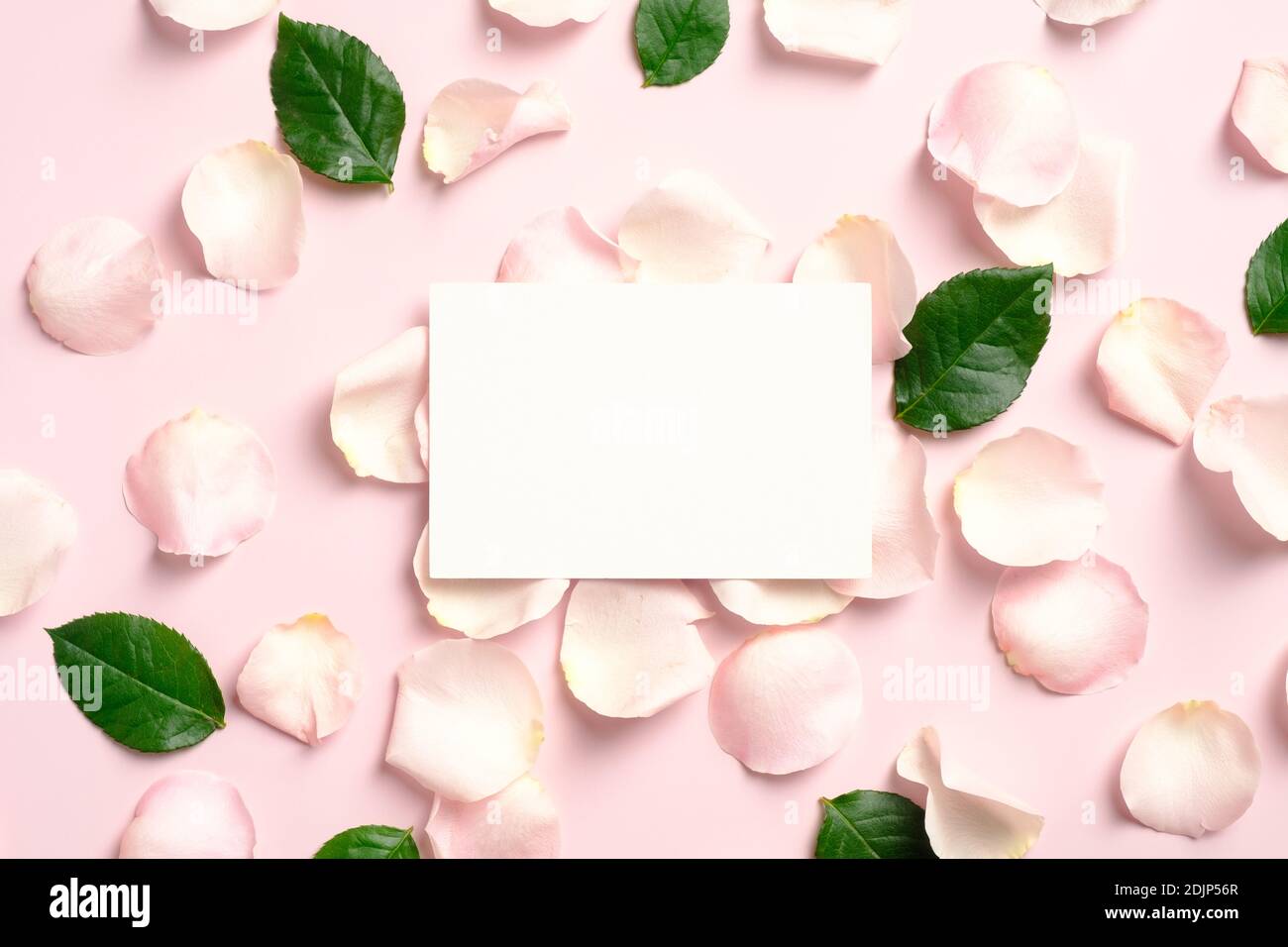 Download Blank Paper Card Mockup With Rose Petals And Green Leaves On Pink Background Flat Lay View From Above Greeting Card Template For Valentines Day Mo Stock Photo Alamy