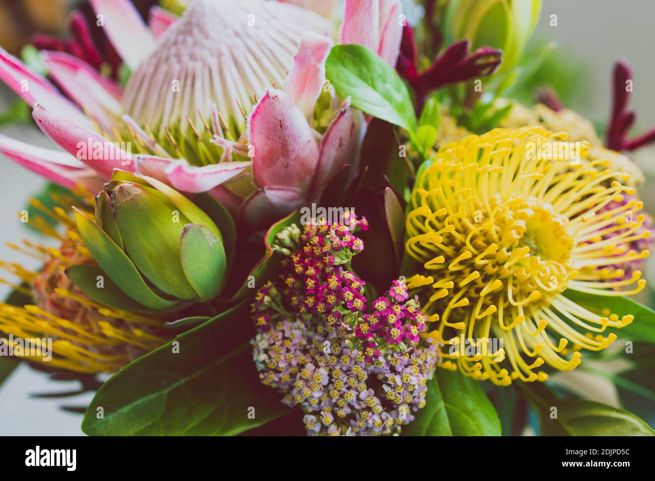 bunch of native Australian flower with proteas and kangaroo paws shot