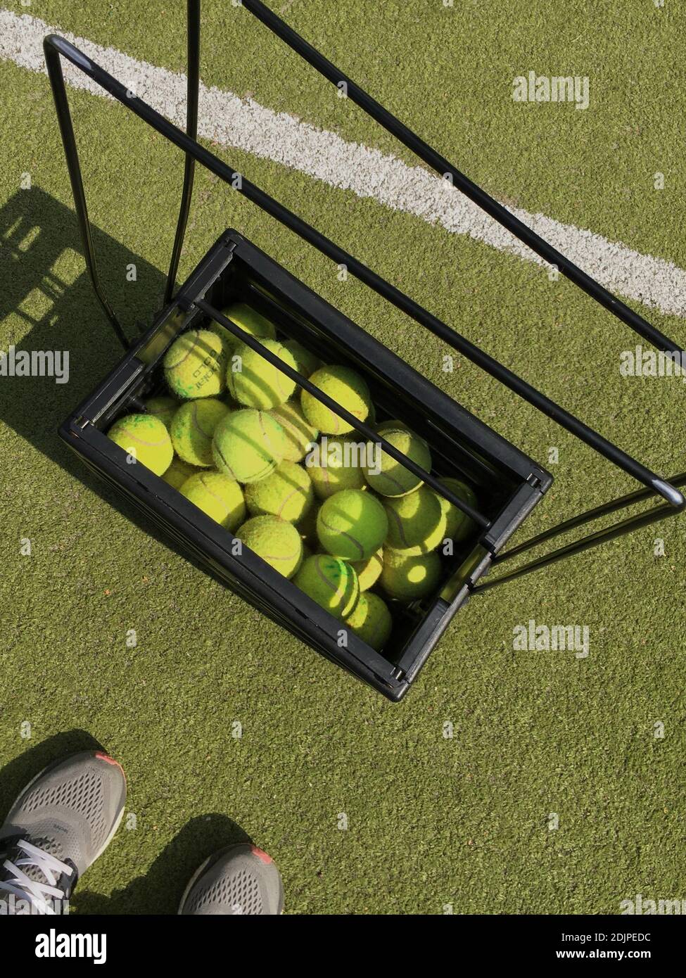 Tennis balls in container hires stock photography and images Alamy