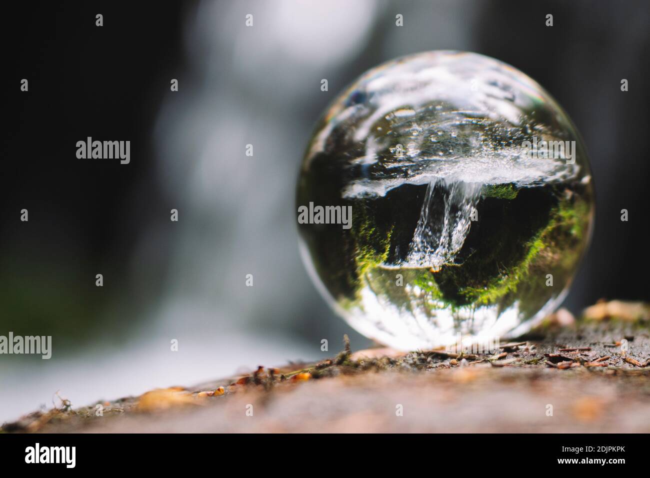 Lensball Fotografie, Natur Details im Wald bei Horn-Bad Meinberg, Silberbachtal, Teutoburg Forest, hike, Stock Photo