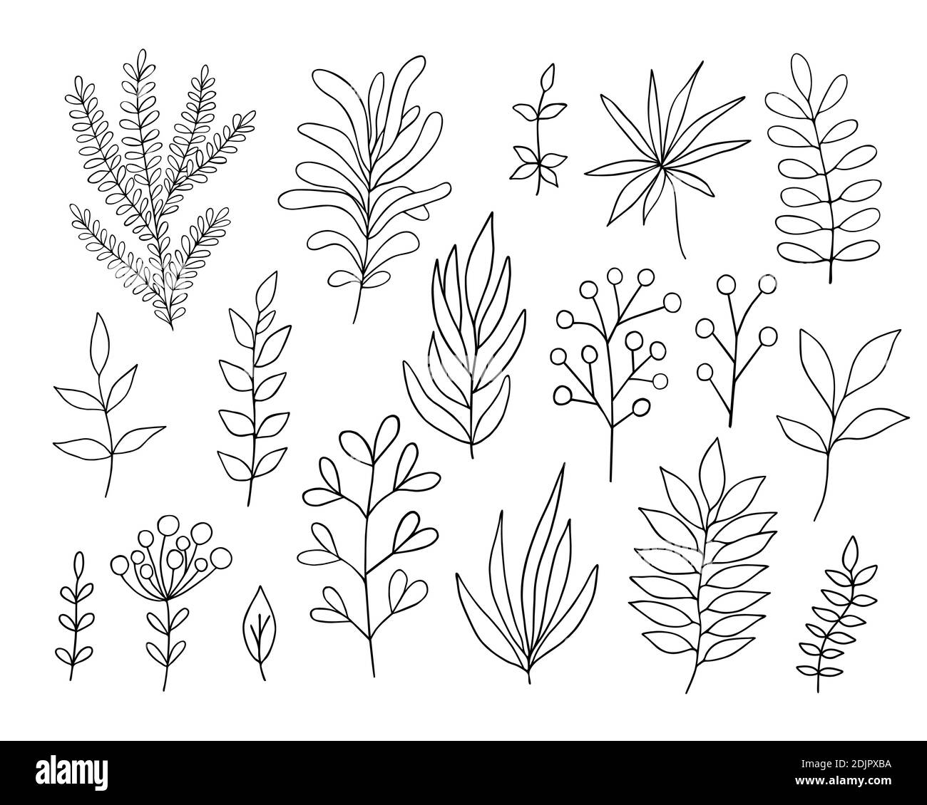 30 Easy Ways to Draw Plants & Leaves | Plant drawing, Leaf drawing, Flower  drawing
