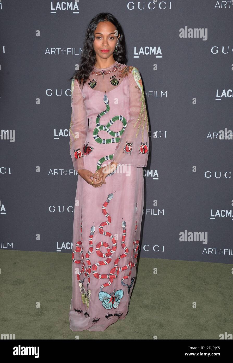 Zoe Saldana attends the 2016 LACMA Art + Film Gala honoring Robert Irwin and Kathryn Bigelow presented by Gucci at LACMA on October 29, 2016 in Los Angeles, California. Photo by Lionel Hahn/AbacaUsa.com Stock Photo
