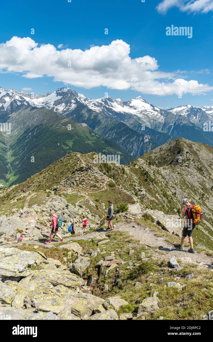 Sand in Taufers, Bolzano Province, South Tyrol, Italy. Hikers on the panorama trail in the Speikboden hiking area. In the background the Zillertal Alps with the peaks Schwarzenstein and Grosser Löffler Stock Photo