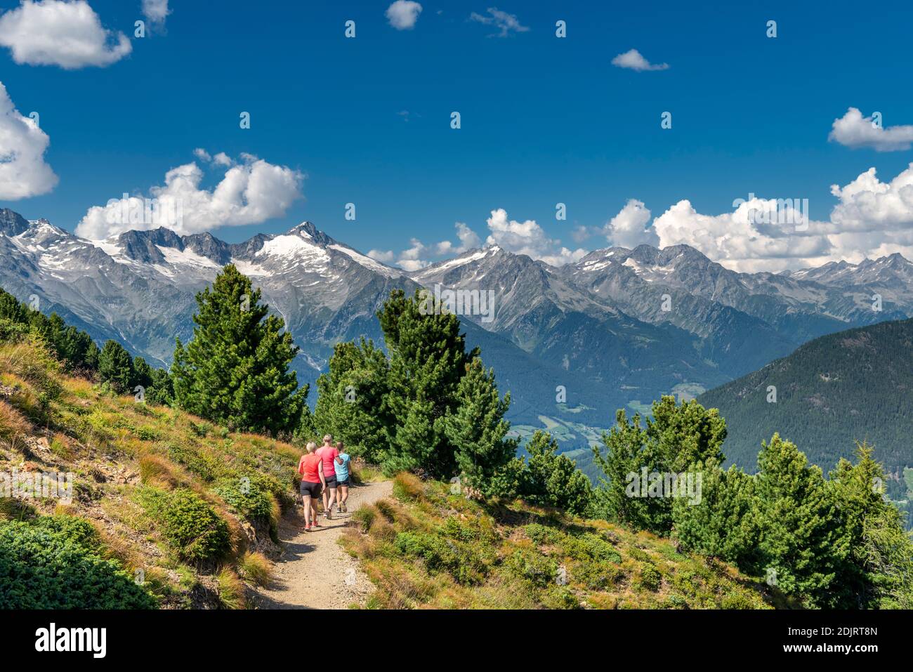 Sand in Taufers, Bolzano Province, South Tyrol, Italy. Hikers on the panorama trail in the Speikboden hiking area. In the background the Zillertal Alps with the peaks Grossen Löffler, Keilbachspitze and Wollbachspitze Stock Photo