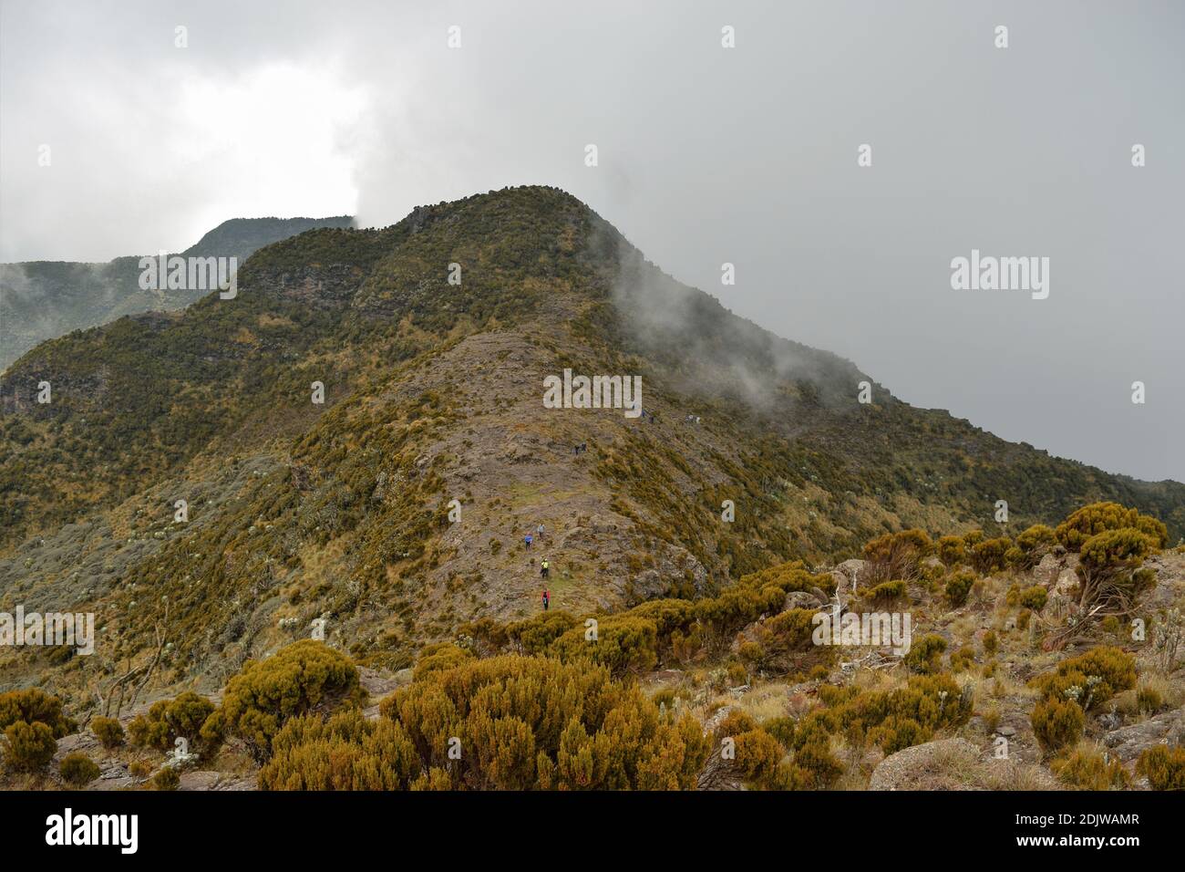 Scenic Mountain Landscapes Against A Foggy Background, Elephant Hill In The Aberdare Ranges, Kenya Stock Photo