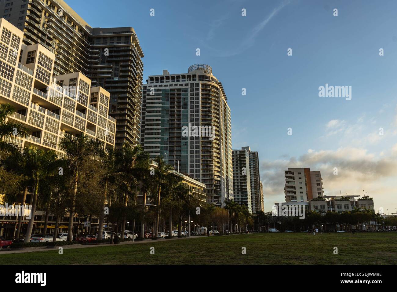 Beautiful cityscape with modern buildings and palm trees Stock Photo ...