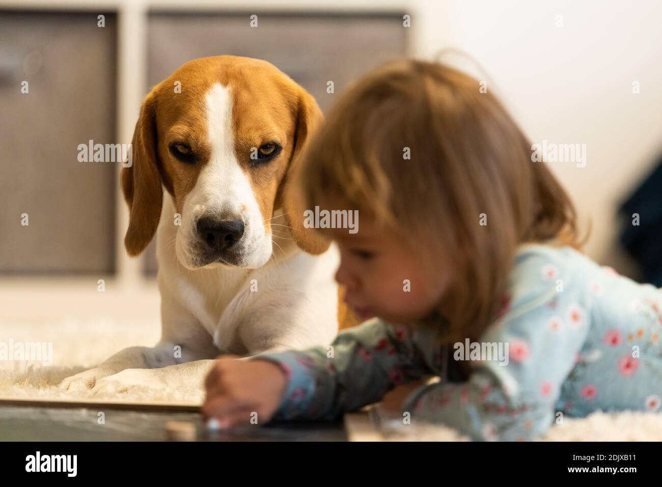 Cute Girl With Dog Relaxing On Floor At Home Stock Photo