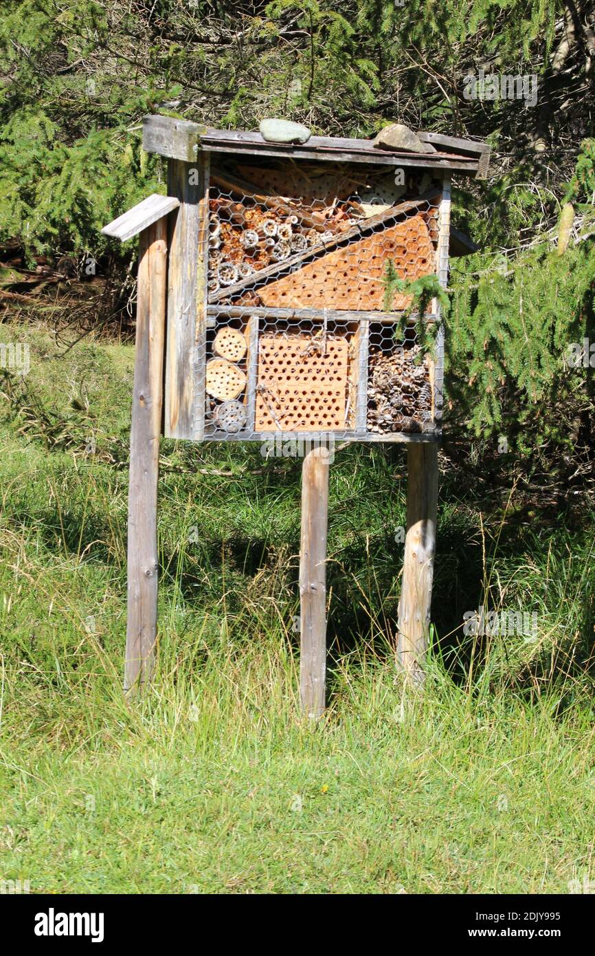  Insect hotel in the forest near Mittenwald, forest kindergarten Stock Motiv 