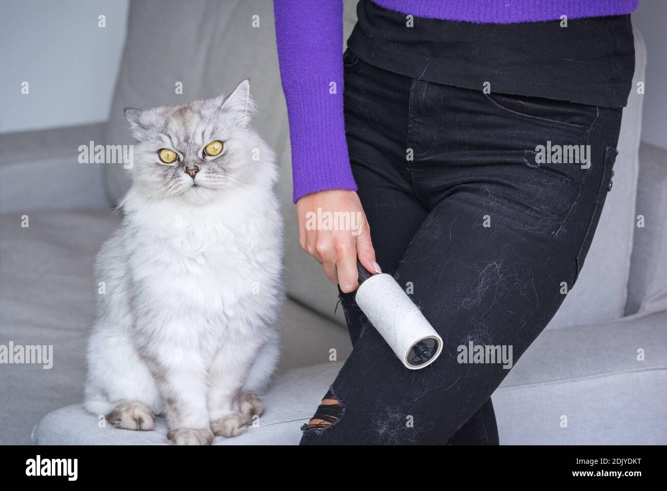Woman cleaning lint roller hires stock photography and images Alamy