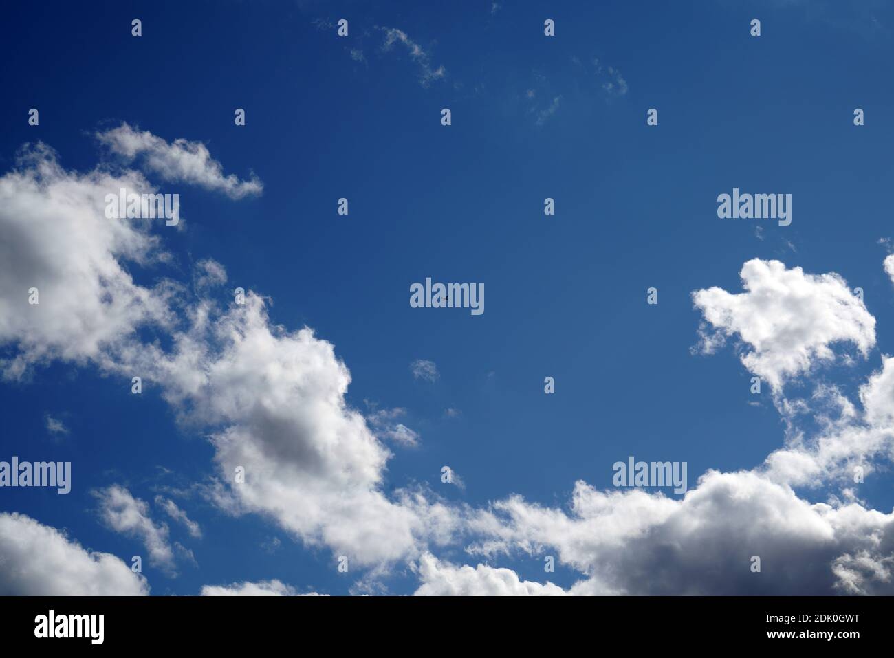 A low angle shot of a bird flying in the blue sky with white fluffy ...