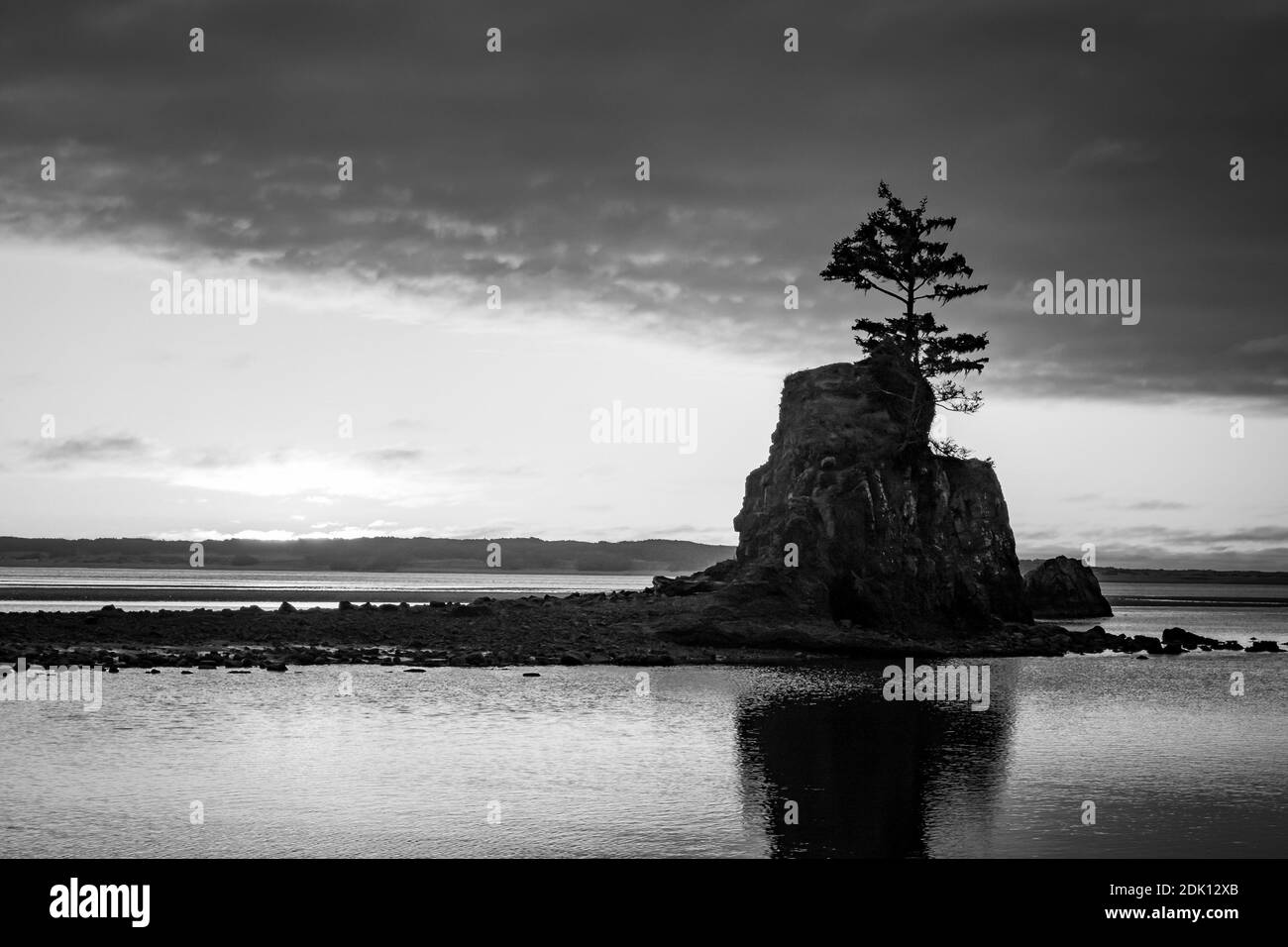 A grayscale shot of a tree on a small cliff in the middle of the water at Siletz Bay Stock Photo
