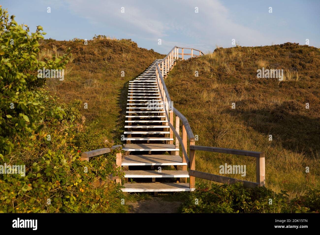 Wooden stairs in the wooden staircase in the Braderuper Heide, Sylt, Schleswig-Holstein, Germany Stock Photo