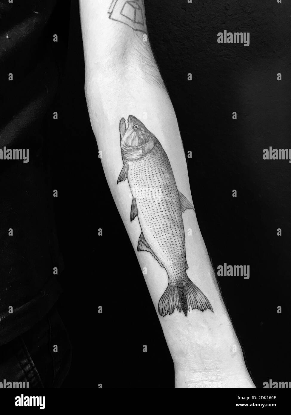 100 Ink Black Fish Tattoo Design png  jpg 2023