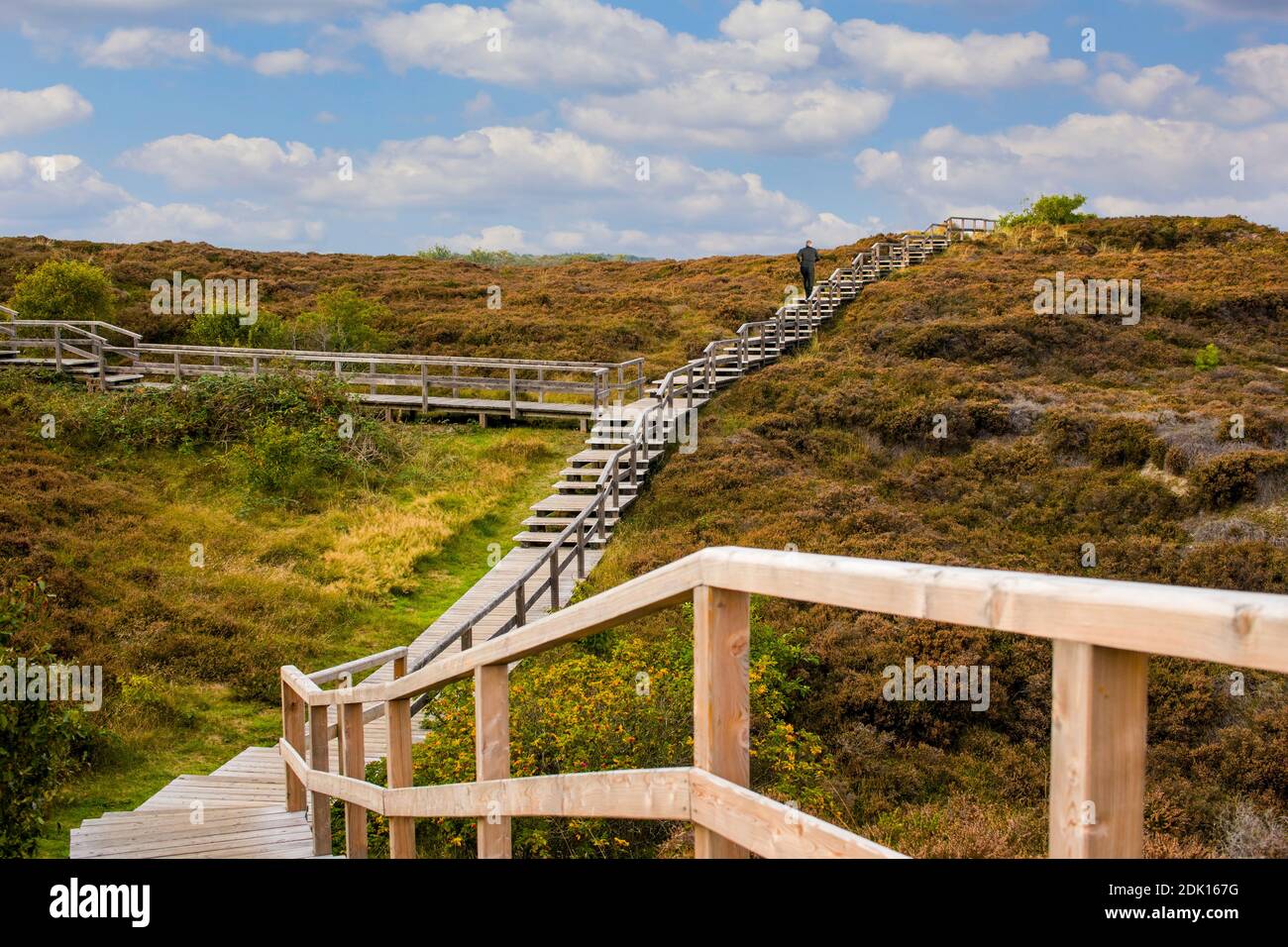 Jogger runs on the wooden stairs in the Braderuper Heide, Sylt, Schleswig-Holstein, Germany Stock Photo