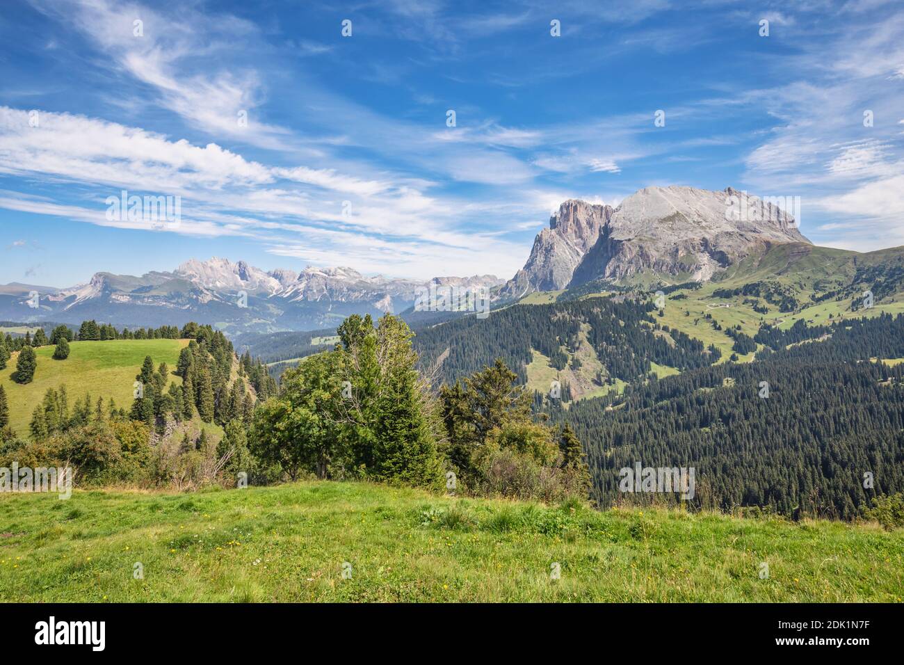 Sassolungo / Langkofel mountain and Sassopiatto / Plattkofel mountain as seen from Seiser Alm alp near Saltria, Dolomites, province of Bolzano-Bozen, South Tyrol / Südtirol, Italy, Europe Stock Photo