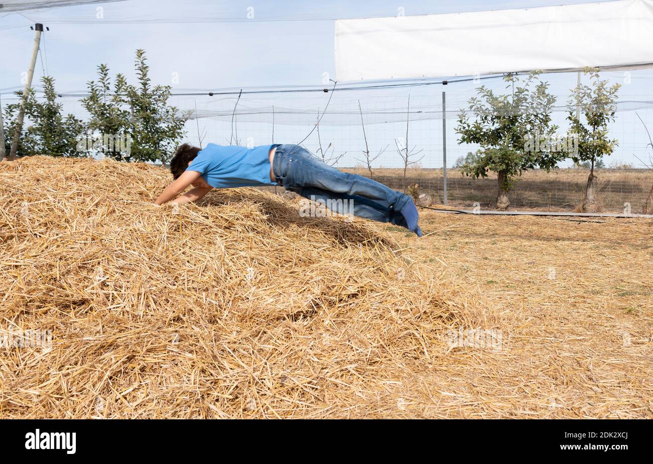 Boy jumps high-spirited into a heap of straw Stock Photo