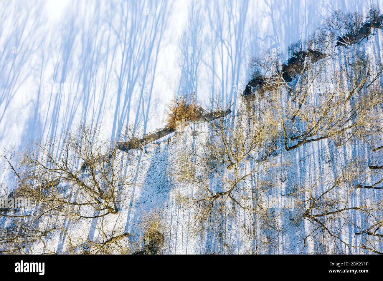 winter park landscape with frozen trees and long shadows in the snow ...