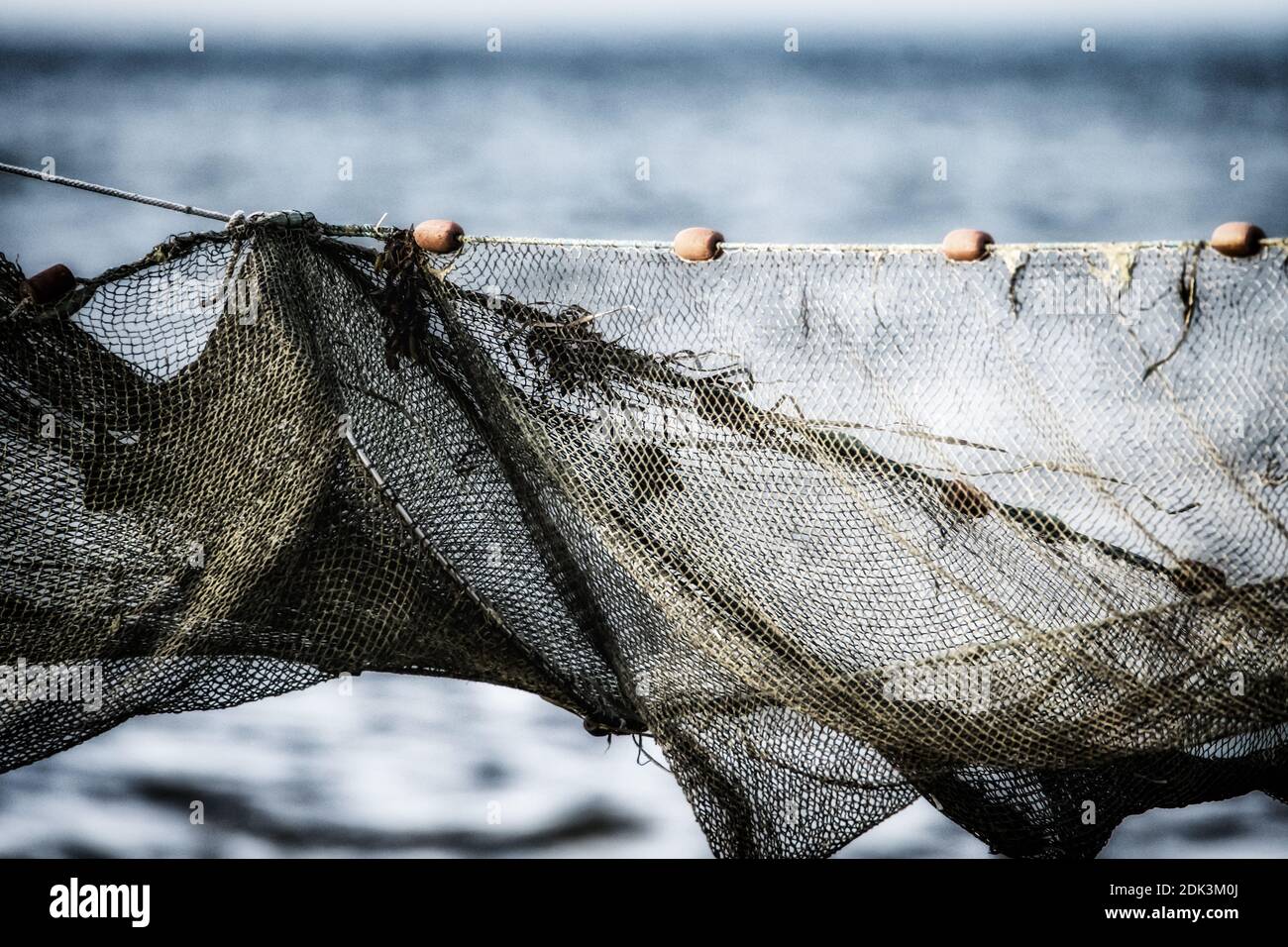 Torn fishing net hires stock photography and images Alamy