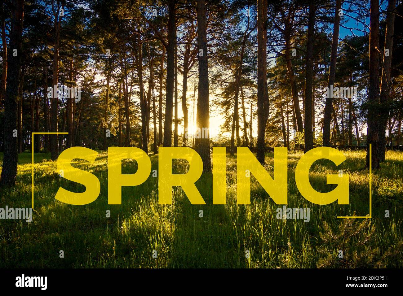 Landscape at the beginning of spring. Large text for ad. Nature in its