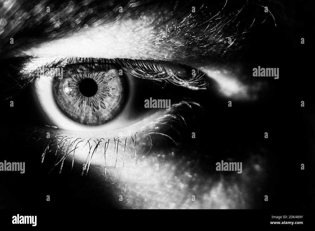 Close up Of Human Eye Stock Photo Alamy close-up-of-human-eye-stock-photo-alamy