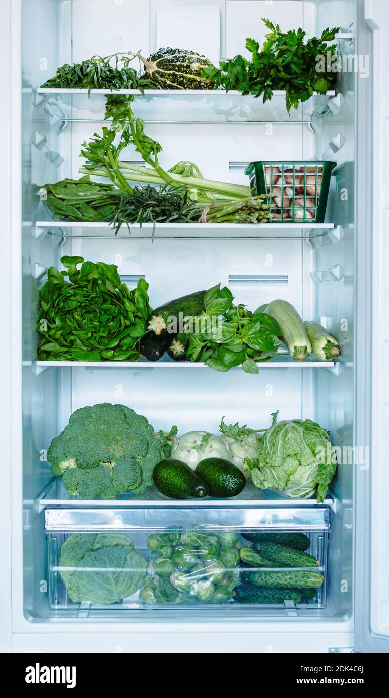 Fresh green vegetables in household refrigerator. Open full refrigerator with selected green vegetables and greens. Vertical shot of cabbages, zucchini, basil, avocado and cucumbers. Vegetarian food Stock Photo